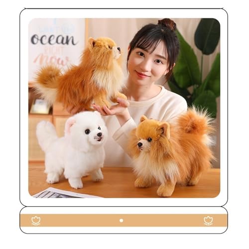 KUKUShining Soft Pomeranian Hund Kuscheltier, 23CM Niedliches Welpen Plüschtier Stofftier Kinder Ideal für gemütliches Spielen und Schlafzimmerdekoratio(WhitePome)