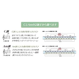 SUZUKI a50-c-13 m le ton Humming Kumpel 13 trous Harmonica de vibrato (Import Japon) - Les Beatles, Paul McCartney, John Lennon, RIngo Starr, George Harrison SUZUKI a50-c-13 m le ton Humming Kumpel 13 trous Harmonica de vibrato (Import Japon) – Image 4