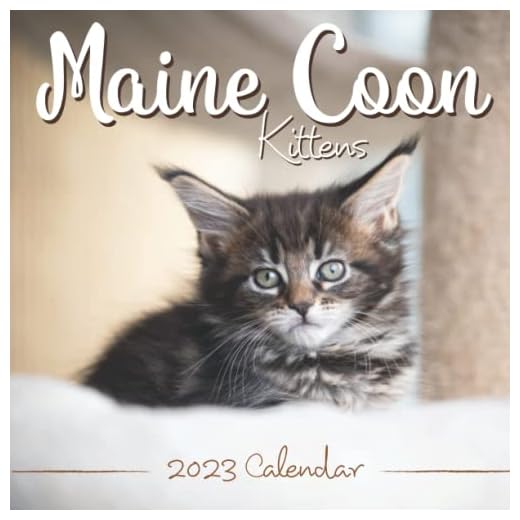 Maine Coon Kittens Calendar 2023: Cool gift for you, your family and friends with 18-month calendar from Jul 2022 to Dec 2023. Ample space for notes, to do list, events, appointments and deadlines