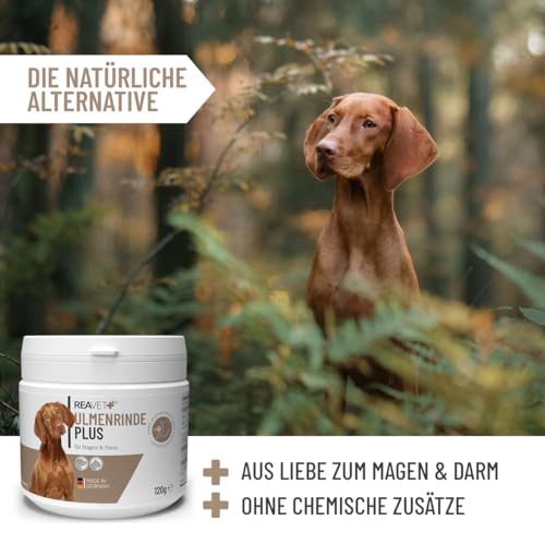 ReaVET Ulmenrinde Plus stark schleimend ohne Aufkochen für Hunde & Katzen 120g - Naturrein in Premiumqualität, Verdauung, Darmflora, Magen, Slippery Elm Bark