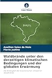 Waldbrände unter den derzeitigen klimatischen Bedingungen und der globalen Erwärmung: Die Anfälligkeit der brasilianischen Umwelt für Waldbrände - Anailton Sales de Melo, Flavio Justino 