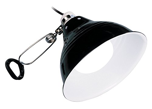 Exo Terra PT2054 Glow Light/ Reflector, Medium, 21 cm