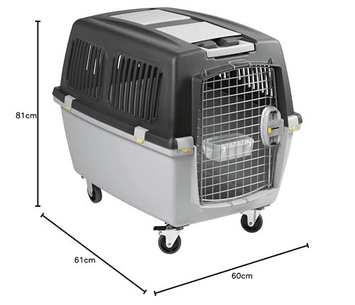 Chalesco Gulliver 5 para Cães