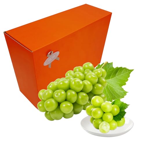 VC}XJbg p 䒆 Ε  Ԃǂ uhE v[g  j 䋟 ʕ  t[c (Gi2[)
