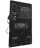 Modulo Amplificatore per Subwoofer PA DJ modulo amplificato professionale 29,5 x 18,5 cm, con Controlli Volume e Frequenza, Alimentazione AC 220V-240V