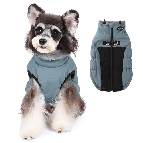 Norbi Winter Coat, Warm Reflective Waterproof Turtleneck Cozy Dog Jacket (Medium, Blue)