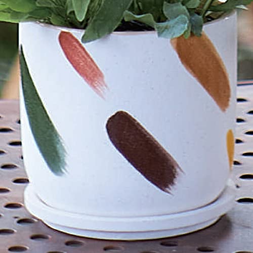 Amazon.co.jp: 花・観葉植物用ポット デシレ 15 W ceramic （4個入り