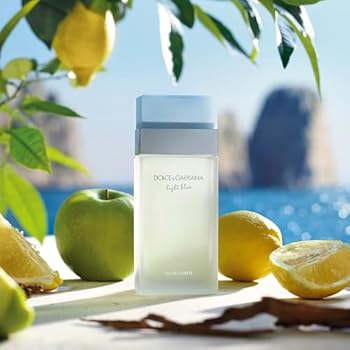 Dolce \u0026 Gabbana Light Blue Eau de Toilette - 100 ml : Dolce \u0026 Gabbana Light  Blue Eau de Toilette: Amazon.com.be: Beaut� et Parfum