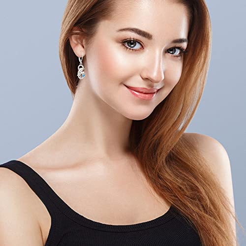 Dolphin Earrings for Women Sterling Silver Infinity Summer Dolphins Dangle Earrings Blue Heart Cute Ocean Animal Nautical Jewelry Christmas Gift3