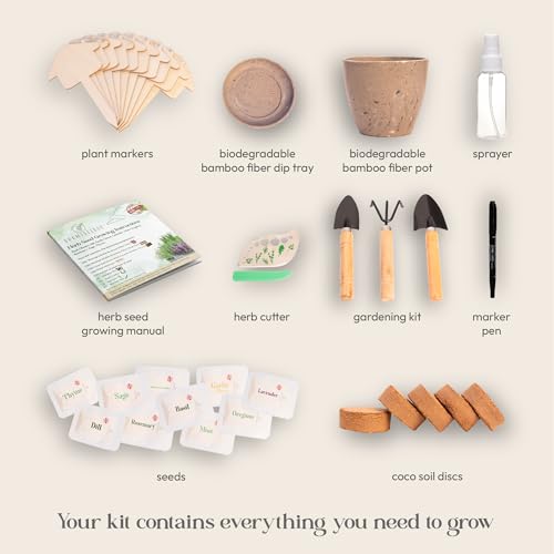 Window Herb Garden Kit – 10 GMO-Free Indoor Herbs with Biodegradable Bamboo Pots – Eco-Friendly Kitchen Planter Set for Easy Gardening & Sustainable Growing – A Unique Gift for Women and Kids - Image 2