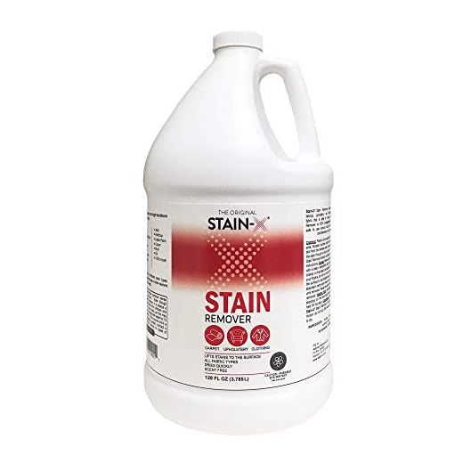 Stain-X All-Purpose Stain Remover