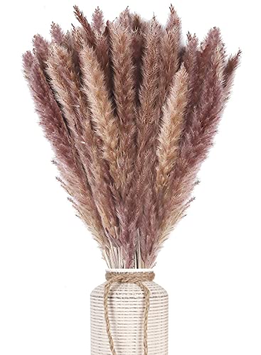 AIOR 30 Piezas Pampas Secas Naturales de Hierba, 60cm Flores Secas Estilo Bohemio Plantas, Decoracion para Florero Jarrones Mesa Comedor Hogar Boda Fiesta Arreglos de Otoño (Marrón) Cover