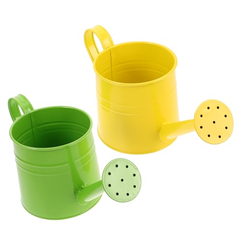 BESPORTBLE 2 Cubos De Metal para Regadera De Jardín, De Hierro De Colores, Novedoso Soporte para Arreglos, Macetero De Granja para Oficina Y Jardín.