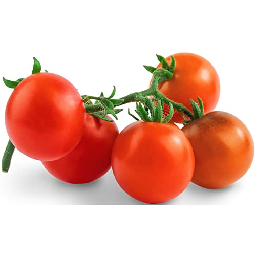 Tke Farms - Large Red Cherry Tomato Seeds For Planting, 300 Mg Approx. 100 Seeds, Solanum Lycopersicun #TOP2