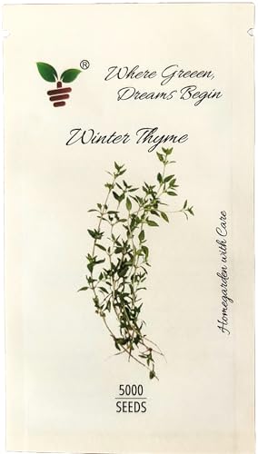 Pack of 1g, Approx. 5,000 Winter Thyme Seeds - Fresh Culinary Herb for Cooking & Medicinal Use (Thyme)