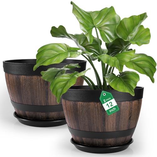 hewewor Lot de 2 grands pots de fleurs en plastique demi-tonneau de 30,2 cm – 10 L pour plantes d'extérieur – Grands pots de fleurs de 3,7 m avec...