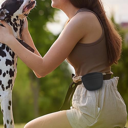 Bolsa para treinamento de cães,Saco de lanche para treinamento de cães - Bolsa de cintura impermeáve