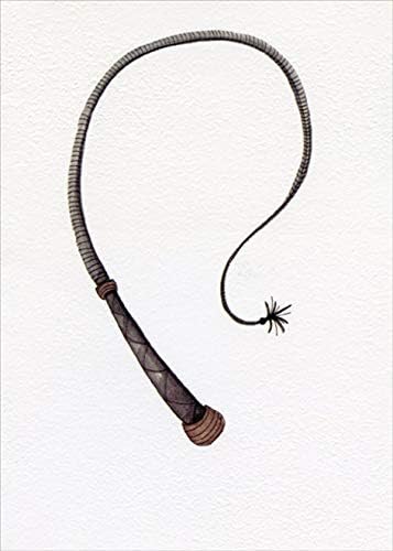 Designer Greetings Whip on White Background Funny/Humorous Risque Birthday Card