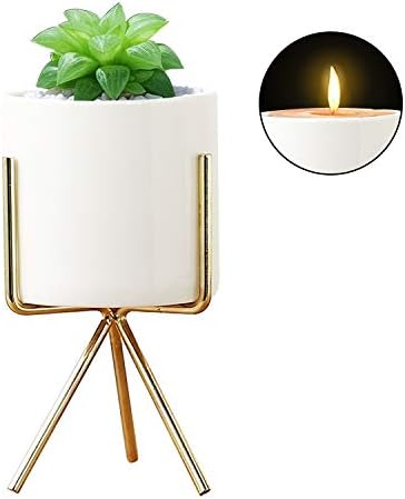 Plant Stand for Desk Indoor, Mid Century Flower Pot Holder Small Decorative Mini Cactus Artificial Plants Container for House, Garden & Patio Office and Bedroom (Gold)