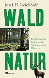 piaty Waldnatur: Ein bedrohter Lebensraum für Tiere und Pflanzen