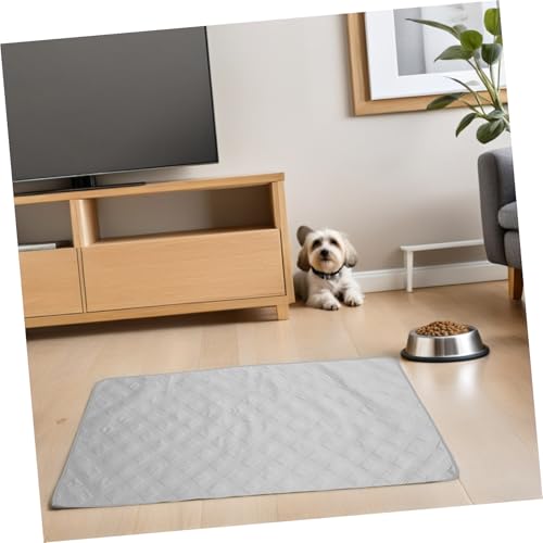 Tapis de chien imperméable et housse canapé gris clair