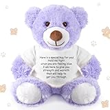 Lenwen a Bear Hug Gift Get Well Soon Sympathy for Women Plush Stuffed Animal Hug Thinking of You Condolences Memorial Loved Present(Purple,Bear)