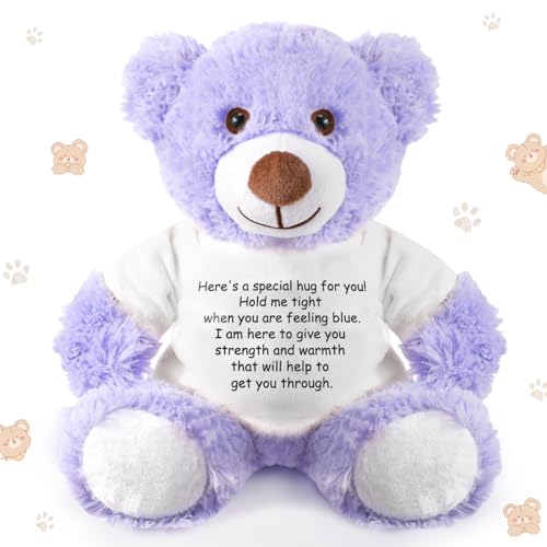 Lenwen a Bear Hug Gift Get Well Soon Sympathy for Women Plush Stuffed Animal Hug Thinking of You Condolences Memorial Loved Present(Purple,Bear)