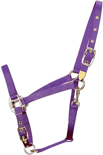 Hamilton Deluxe Horse Halter, 1