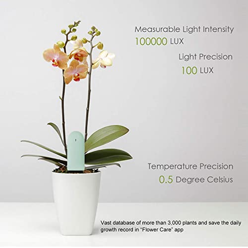 Feuchtigkeitsmesser für Pflanzen von WANFEI – Pflanzensensor Flower Care