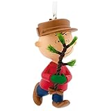 Hallmark Peanuts Charlie Brown Christmas Tree Ornament 2017