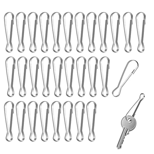 Cobee Flag Pole Clip, 30pcs Stainless Spring Clips Hooks for Grommeted Flag Flag Pole Snaps Hook