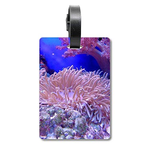 Étiquette valise Ocean Coral Science Nature accessoire voyage croisière