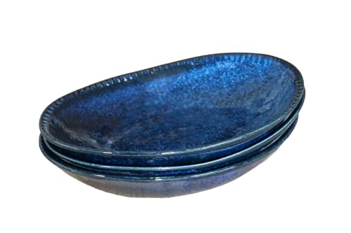 ?????????????(Castle Enterprise) (Amazon.co.jp Exclusive) Commercial Set of 3 Kiln Hen Ruffles Curry Plate, Kiln Dark Blue