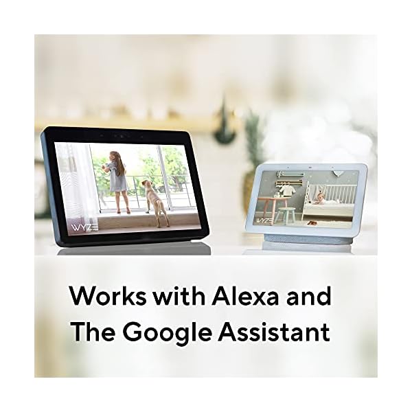 Wyze-Cam-v2-1080p-Indoor-Pet-Monitoring-Camera-with-Wyze-32GB-MicroSD-Card-Class-10 Indoor Pet Monitoring Camera