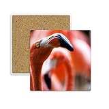 Clasificación: posavasos. Posavasos cuadrado de flamenco con diseño de animales salvajes de Terrestre, 2 piezas de regalo