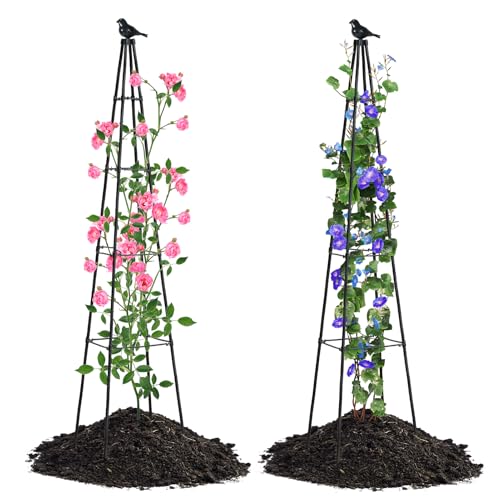 yotoworth Garden Obelisk Trellis for Climbing Plants Outdoor,Support Rustproof Stand Tower,Sweet Pea Potted Vegetable Fruits,2PCS,170CM