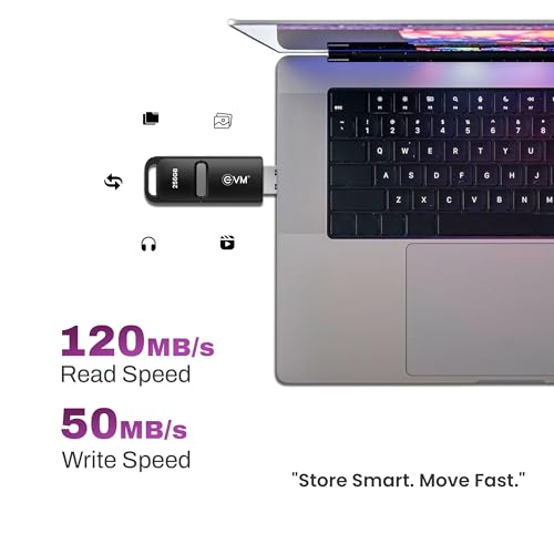 Image of EVM EnX 256GB USB 3.2 Gen 1 Flash Drive | Exceptional 120MB /s Read | Sturdy Premium Metal Body | Convenient Integrated Key Loop | Laptop Desktop Smart TV Car Stereo | 10 Years Warranty (ENX /256GB)
