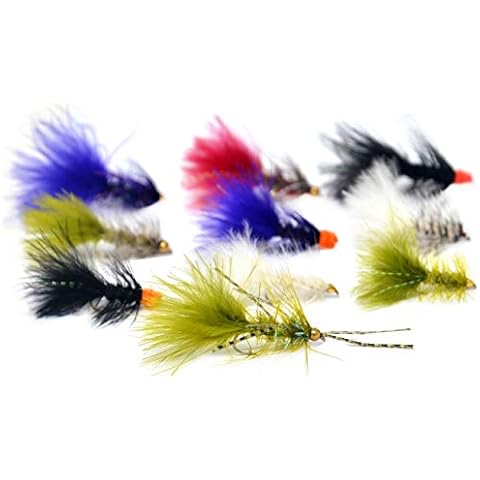 Outdoor Planet 26 Crystal Bugger/Woolly Bugger/Egg Sucking Leech + Waterproof Fly Box with Dry/Streamer Trout Fly Fishing Flies Lure Cover