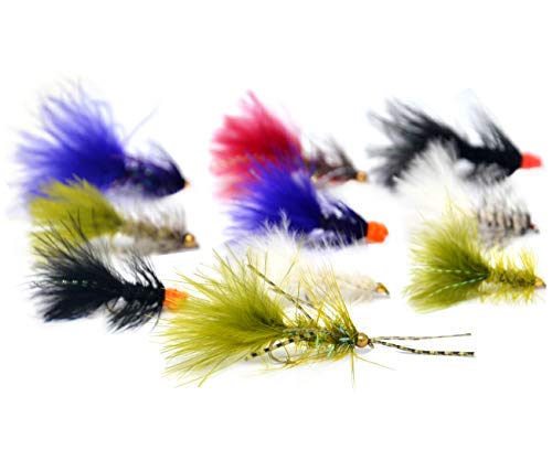 Outdoor Planet 26 Crystal Bugger/Woolly Bugger/Egg Sucking Leech + Waterproof Fly Box