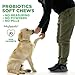 Deley Naturals Dog Probiotic Chews - Dogs Probiotic for Digestive Health with 4 Billion CFUs & Digestive Enzymes - Anti Diarrhea for Dogs - Dog Gut Health Probiotics for Allergies - Made in The USA