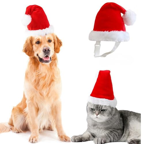 T^ Xq ybg 蕨 T^Xq L  NX}XXq  ||t ̓IȖXq 3D RXv RX`[  ʐ^Be LpE^E^E^ (L)