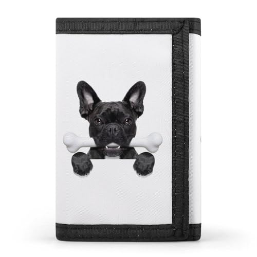 [YINGDAB] O܂z ʔ t`uhbO ~jz J[hP[X z D fB[X Y J[h K Wallet  RpNg e ^ v[g