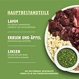 Lily's Kitchen Mit natürlichen Zutaten hergestellt Für ausgewachsene Hunde Trockenfutter Hirtenkuchen Ausgewogene Rezeptur 1kg Beutel