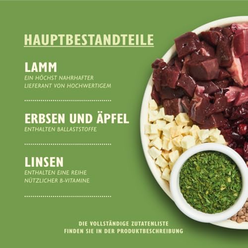 Lily's Kitchen Mit natürlichen Zutaten hergestellt Für ausgewachsene Hunde Trockenfutter Hirtenkuchen Ausgewogene Rezeptur 1kg Beutel