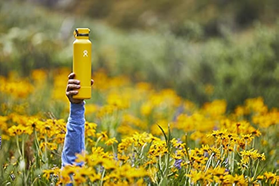 Hydro Flask Wide Mouth Flex Sip Lid Bottle - Stainless Steel Reusable Water Bottle - Vacuum Insulated, Dishwasher Safe, BPA-Free, Non-Toxic