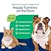 NaturVet – Digestive Enzymes for Dogs - Plus Probiotics & Prebiotics | Helps Support Diet Change & A Healthy Digestive Tract | for Dogs & Cats | 8 oz Powder