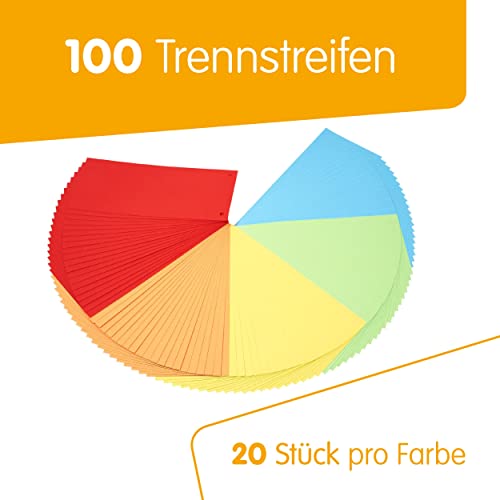 perfect line Lot de 100 bandes de séparation en papier avec onglet en 5 couleurs intenses Couleurs assorties, cartes de 180 g/m², languettes colorées pour une séparation parfaite des classeurs DIN A4