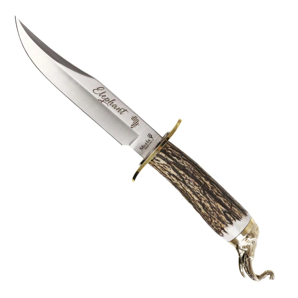 Muela Cuchillo de Caza BIG FIVE ELEPHANT ELEPHANT-16BF con hoja de acero inox ACX-380 de 16 cm y asta de ciervo de 13 cm pomo decorado para Caza Supervivencia y Bushcraft + Portabotellas de regalo