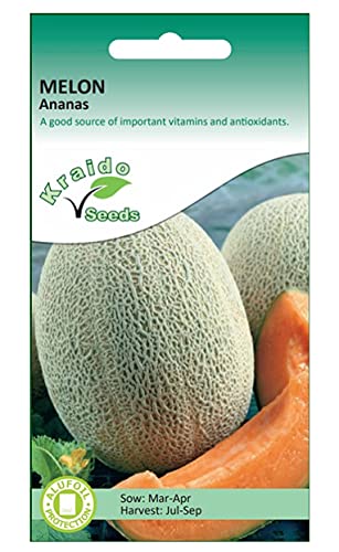 Cantaloupe Melon Seeds Ananas 20 Seeds Cucumis Melo for Planting UK Grow Your Own Vegetable Ideal for Greenhouse Growing Polytunnel or Cold Frames
