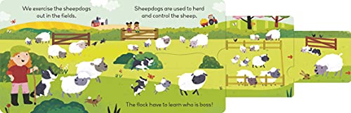 Little World: On the Farm: A push-and-pull adventure - Image 5